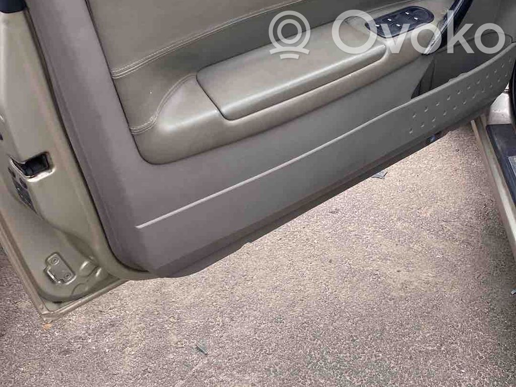 Renault Megane II Regulador de puerta delantera con motor 