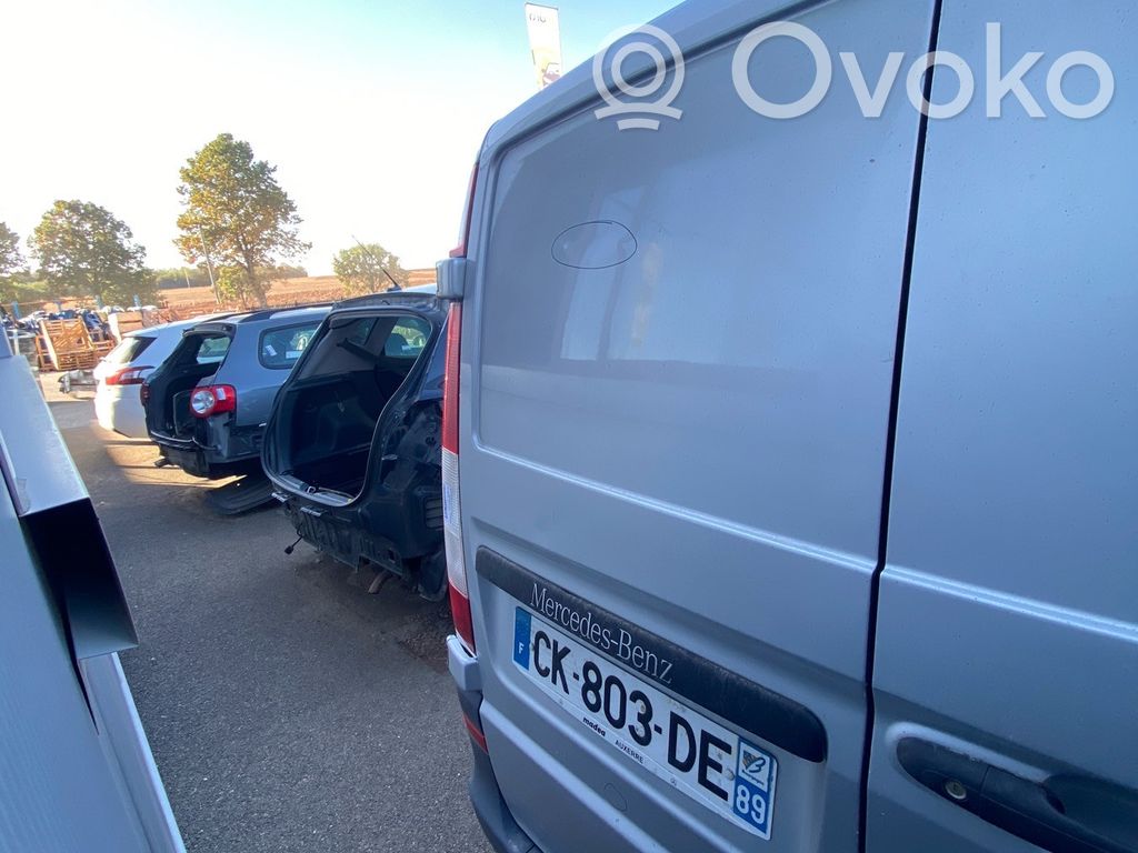 Mercedes-Benz Vito Viano W639 Ușă spate van