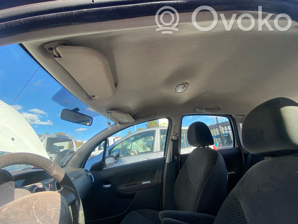 Citroen C3 Потолок
