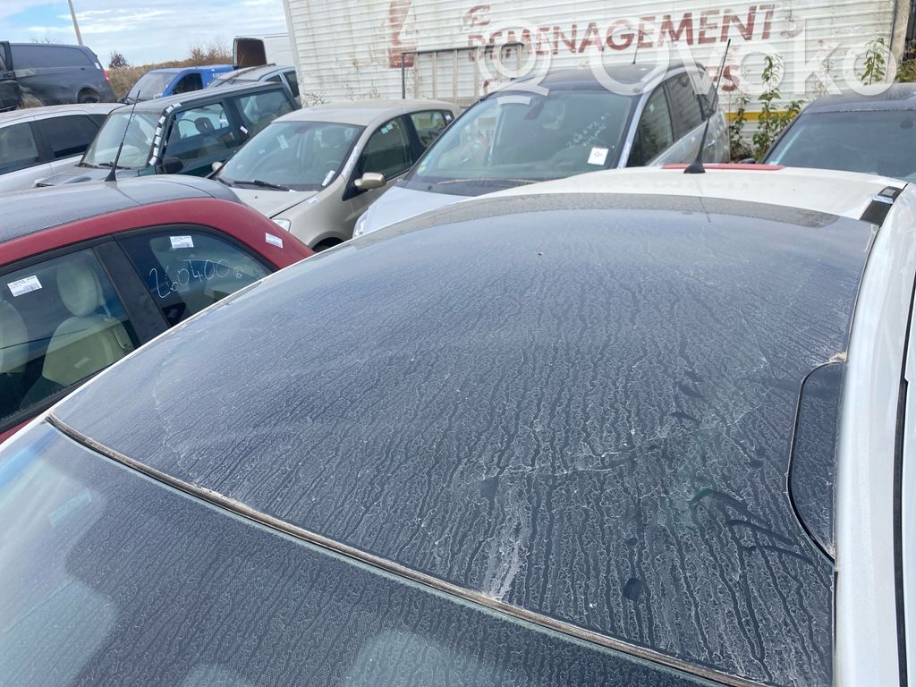 Peugeot 207 Schiebedach-Set 