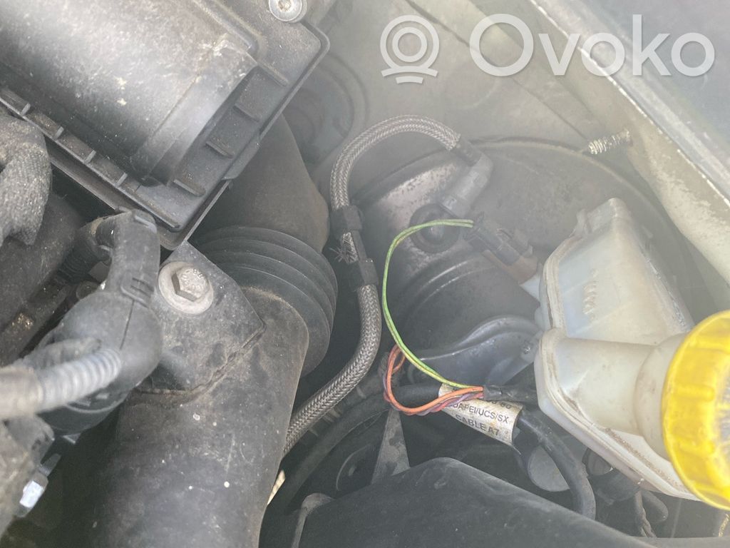 Peugeot 207 Stabdžių vakuumo pūslė