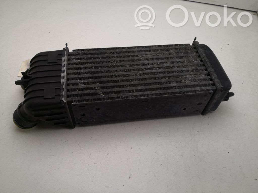 Peugeot 207 Intercooler radiator 