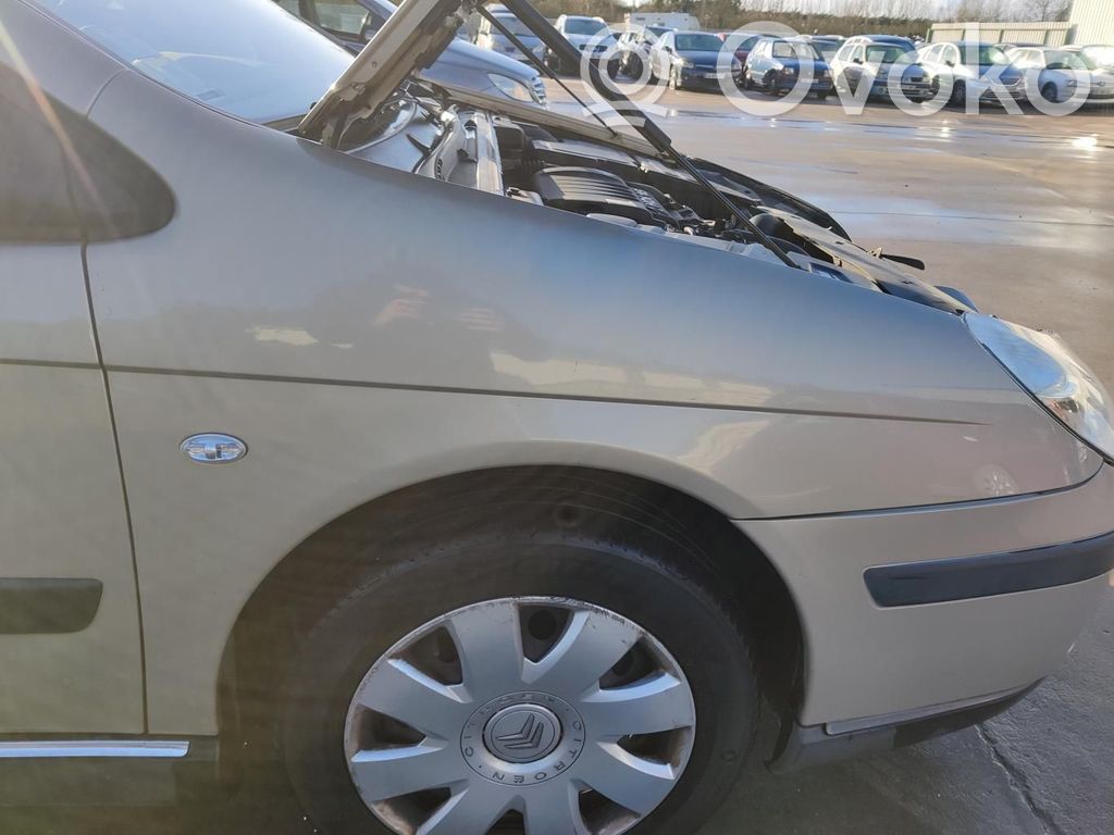 Citroen C5 Lokasuoja 