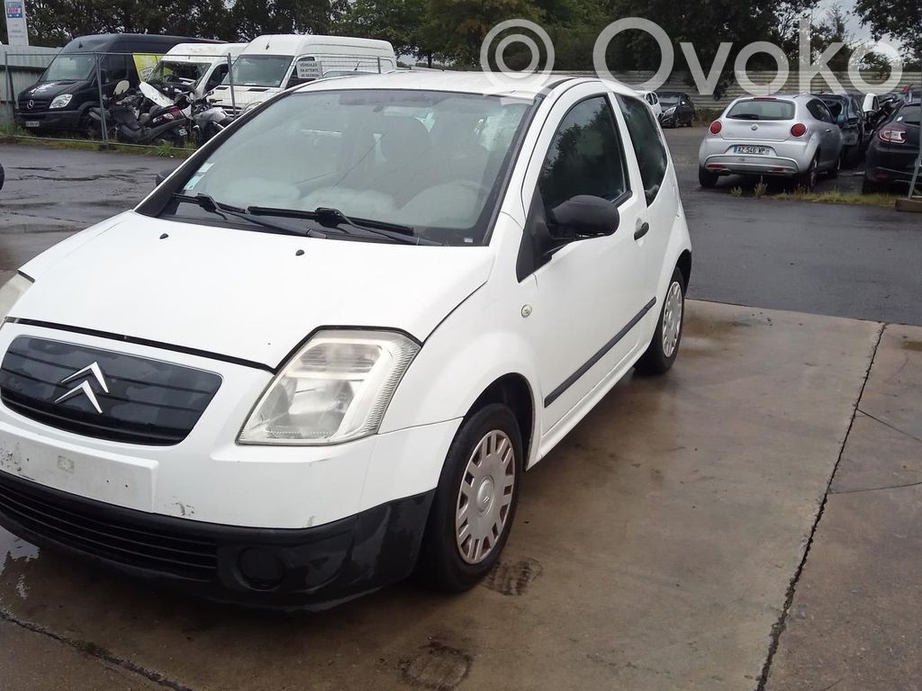 Citroen C2 Zacisk hamulcowy przedni 