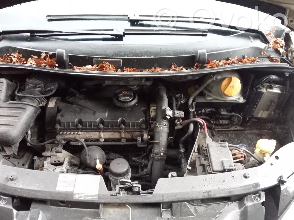 Ford Galaxy Aušinimo skysčio išsiplėtimo bakelio dangtelis 
