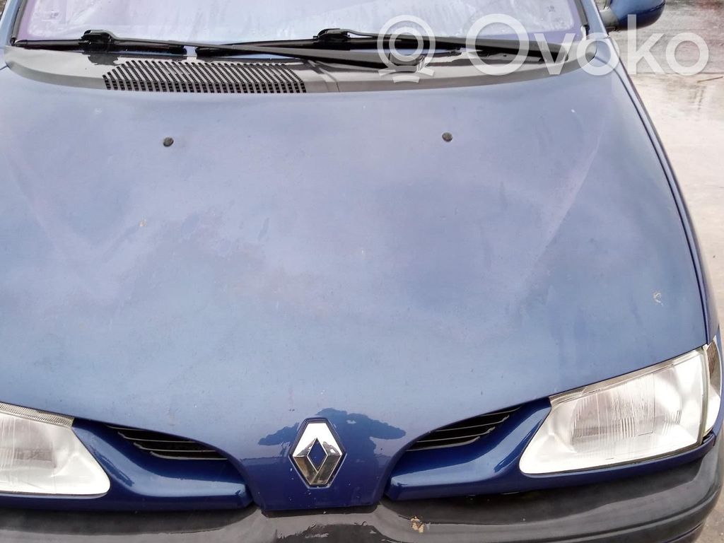 Renault Scenic I Konepelti 