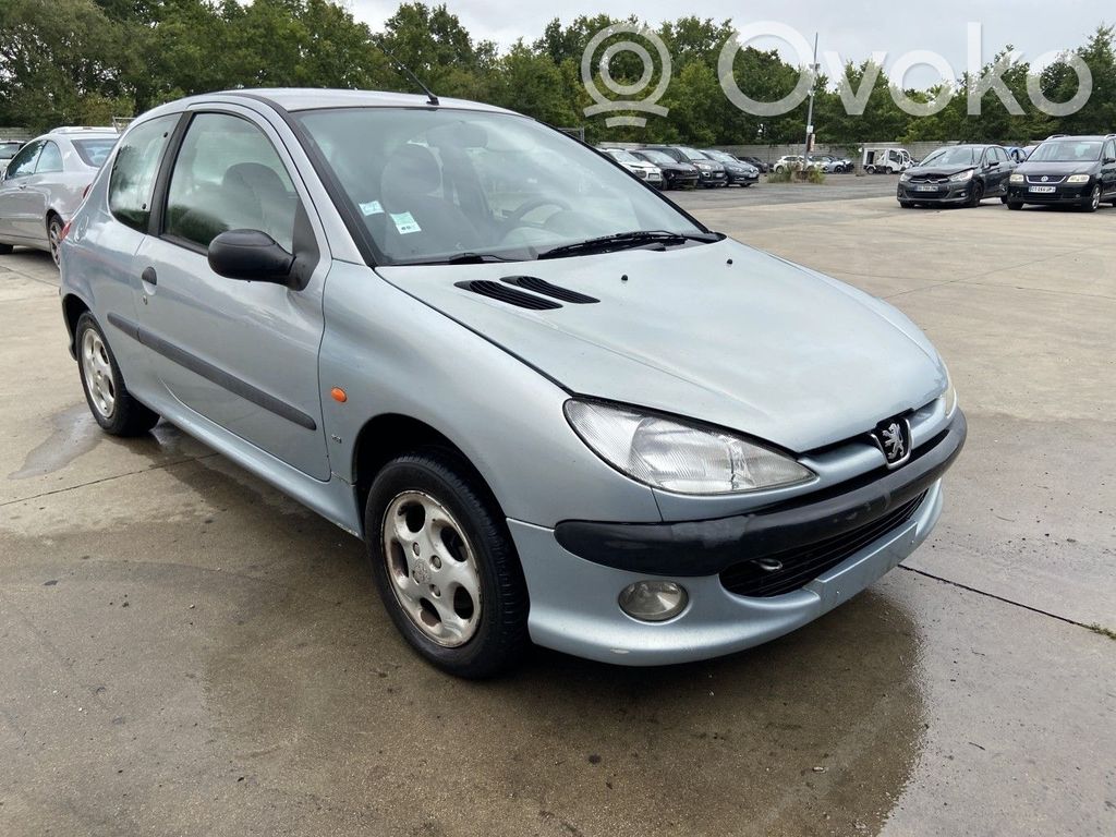 Peugeot 206 Etrier frână față 