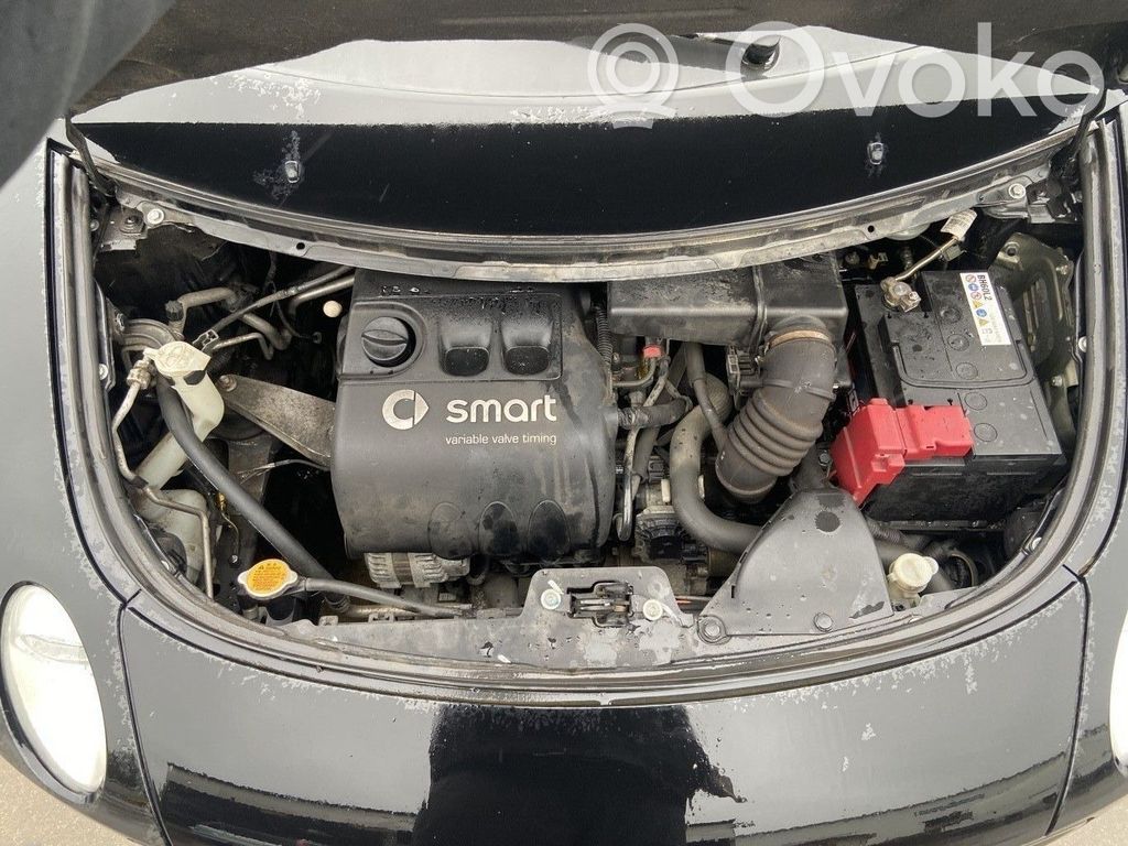 Smart ForFour I Radiatoru panelis 