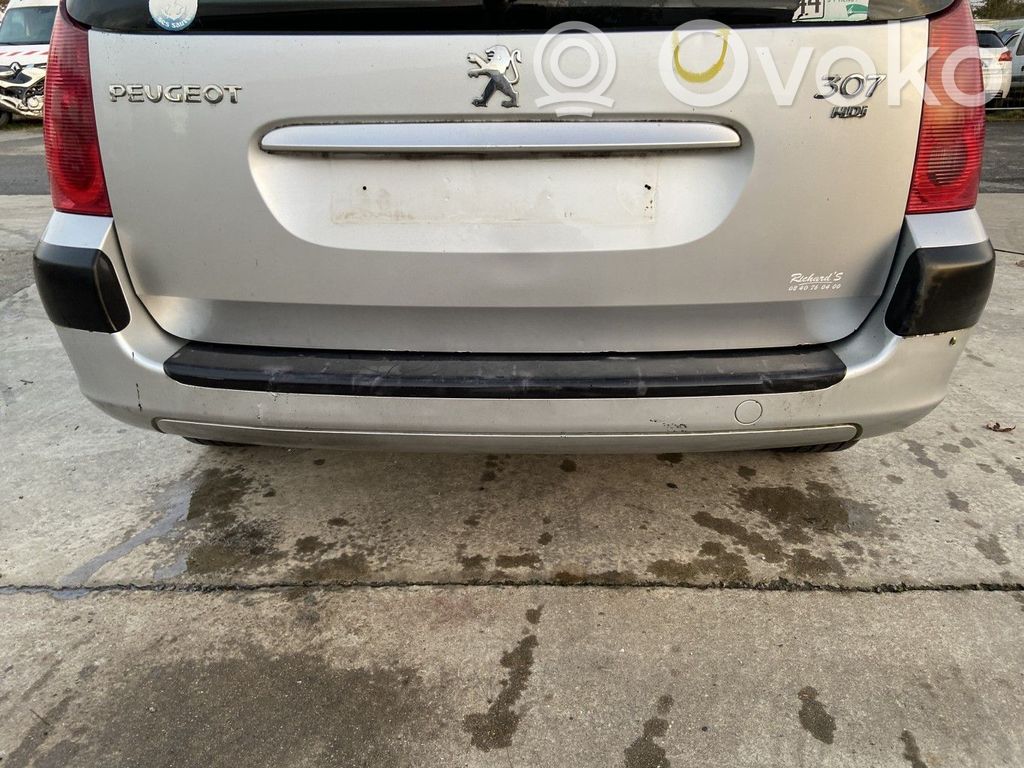 Peugeot 307 Parachoques 