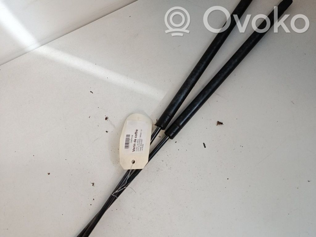 Ford Focus Tailgate/trunk strut/damper 