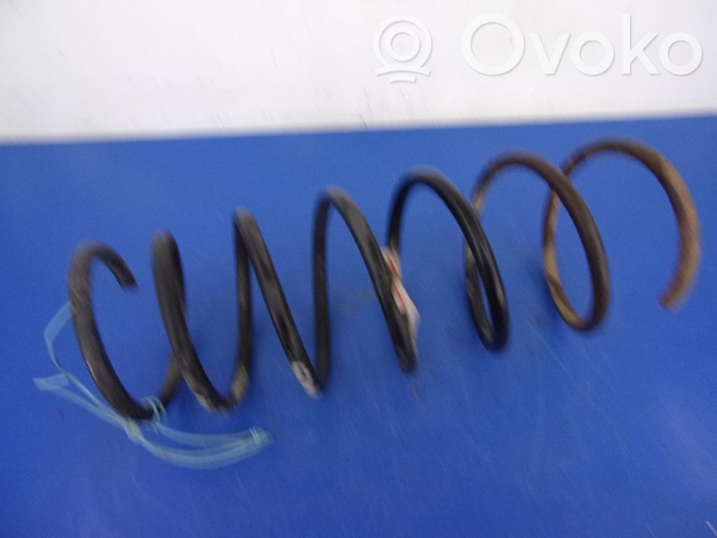 Feder vorne
