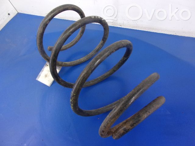 Front coil spring