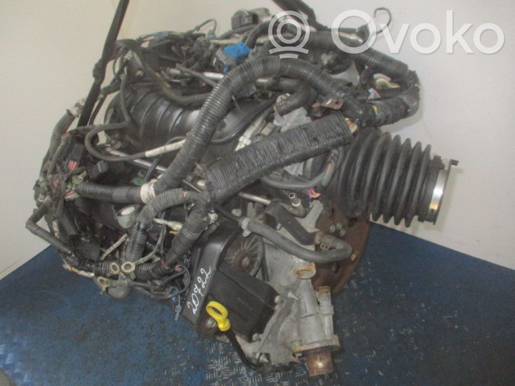 Motor