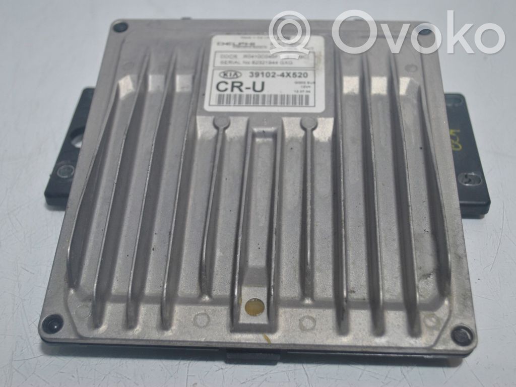 Engine control unit/module   391024X520,39102