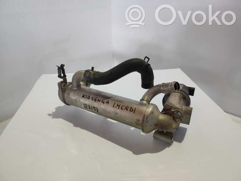 Válvula EGR   284102A300