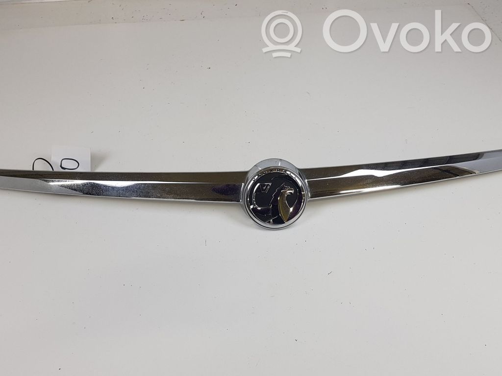 Tailgate trim   13244389,461088395