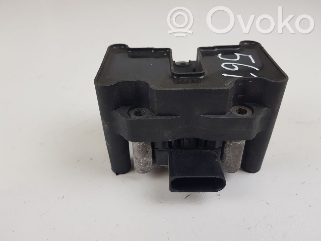 High voltage ignition coil   DMB891