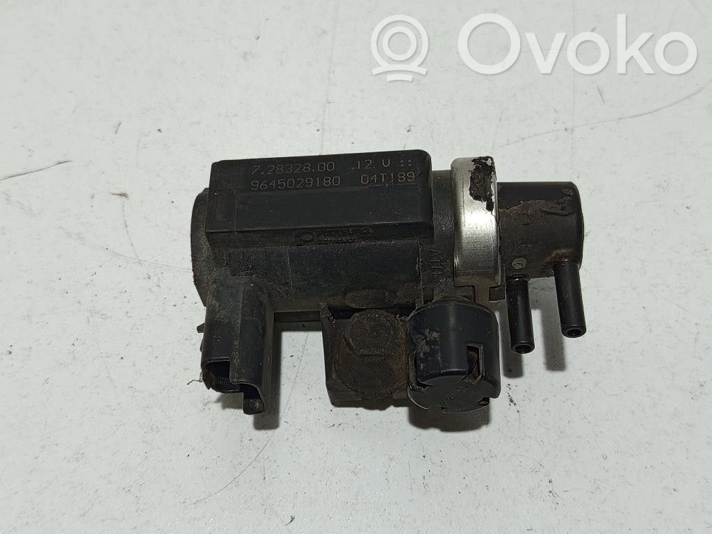 Ford Fiesta Vakuumo vožtuvas 