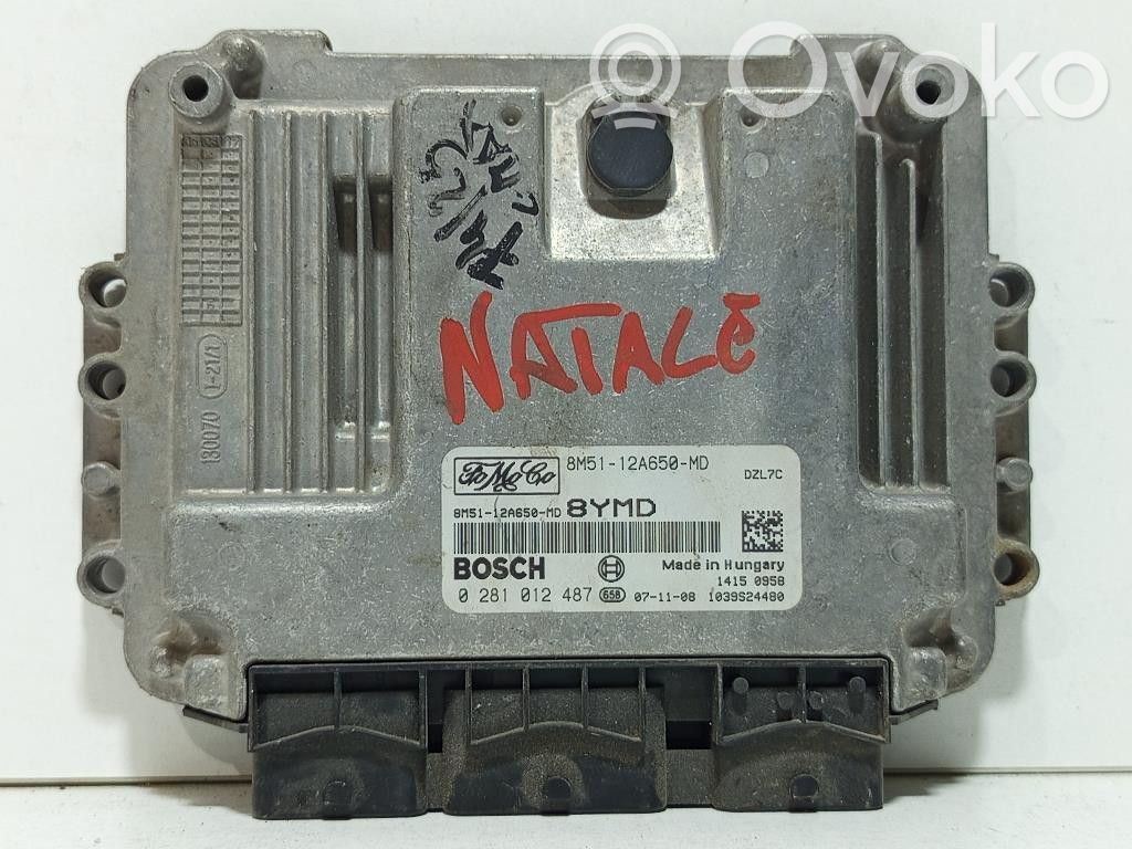 Ford C-MAX I Engine control unit/module 