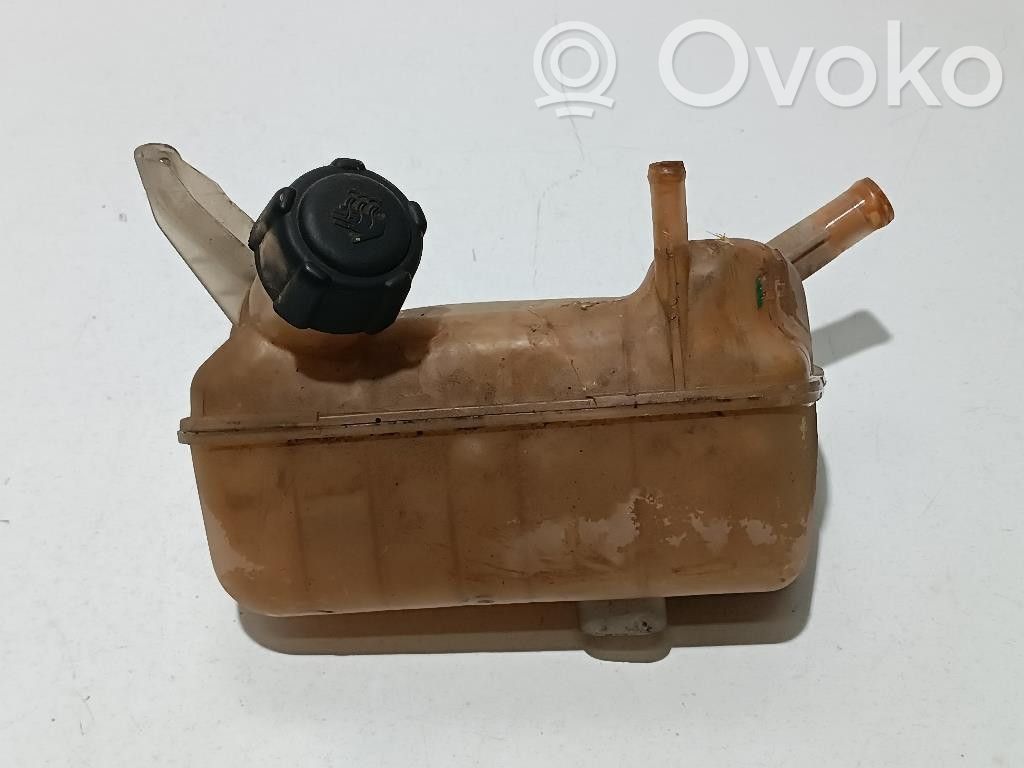 Renault Megane II Vas expansiune/rezervor lichid de răcire 