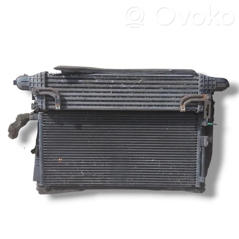 Jaguar X-Type Wasserkühler Kühlerpaket 
