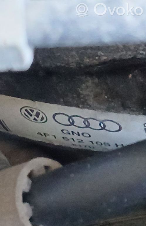 Audi A6 S6 C6 4F Bremskraftverstärker