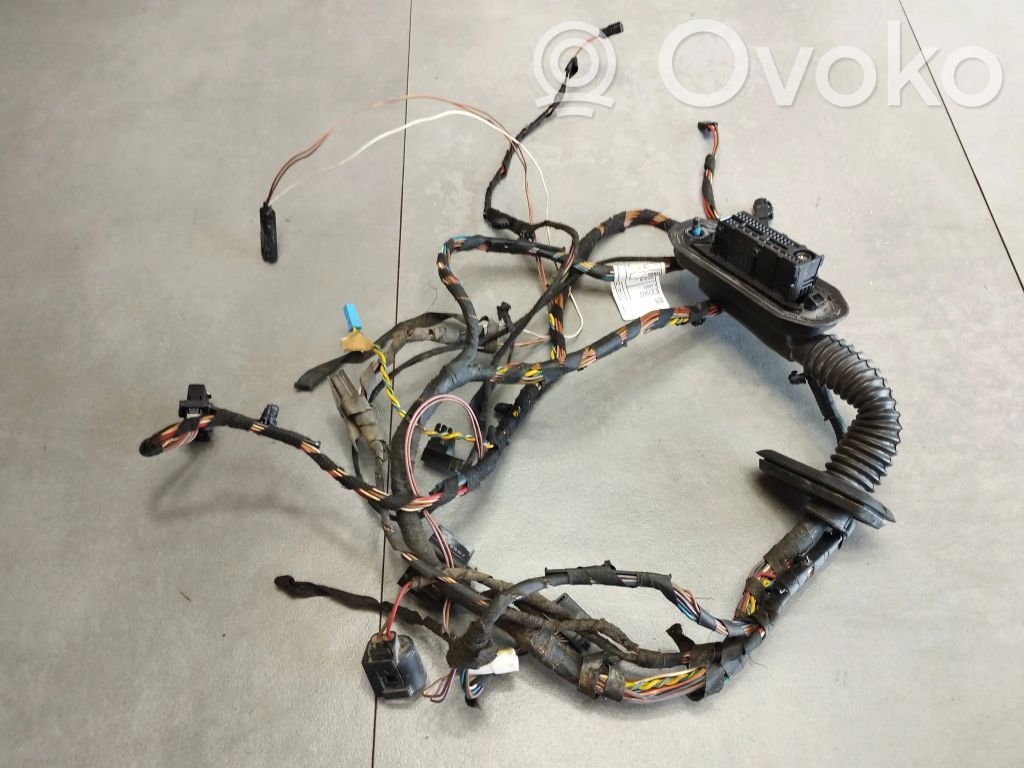 BMW X6 E71 Cableado de puerta delantera 