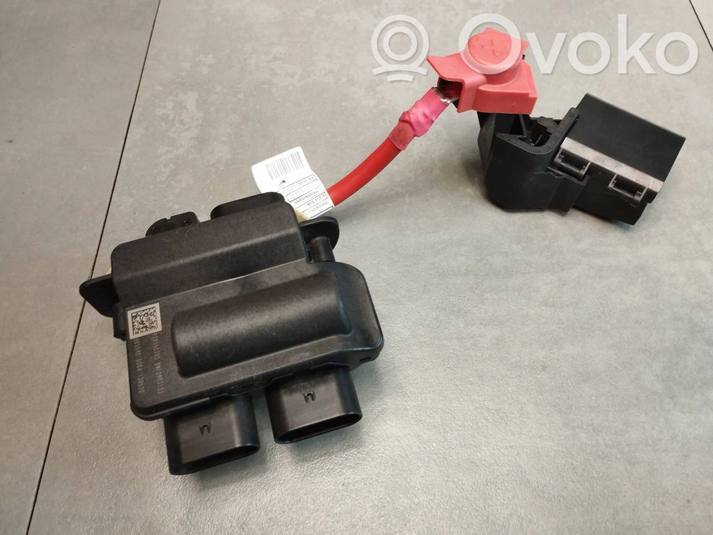BMW X5 F15 Pluskabel Batterie 