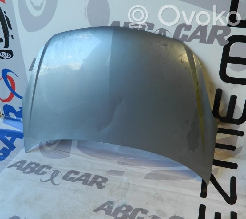 Engine bonnet/hood