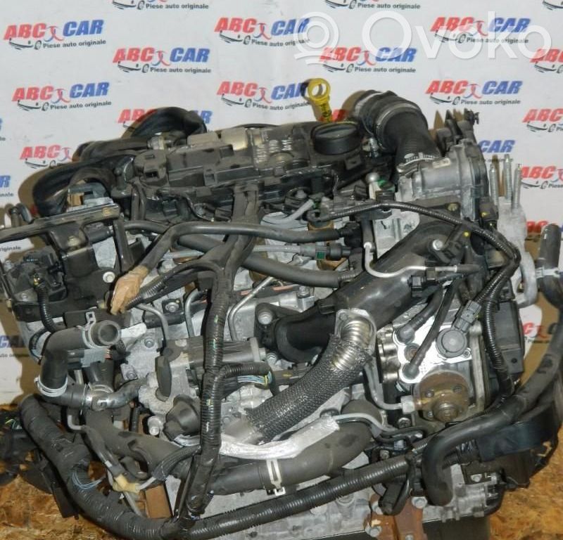 Ford Fiesta Engine 