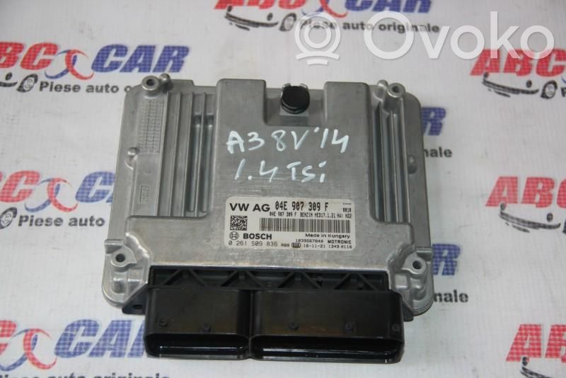 Unidad de control/módulo ECU del motor   04E907309F