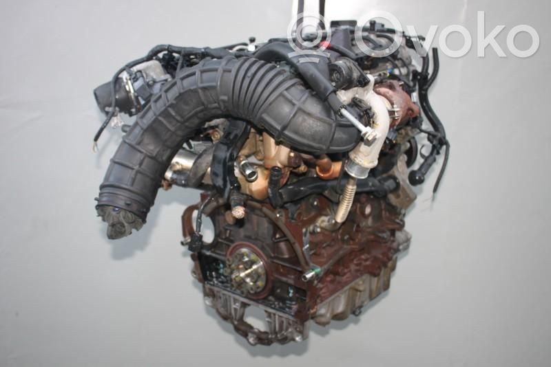 Hyundai i20 (PB PBT) Motore 