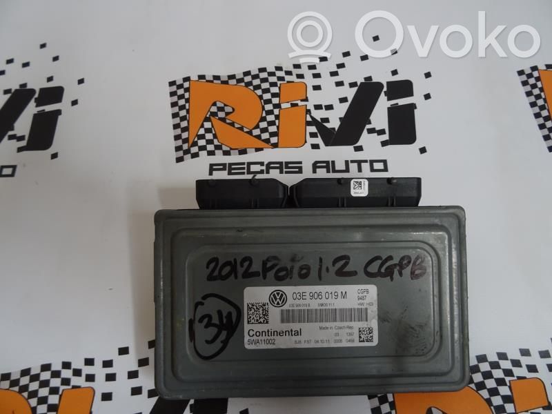 Engine control unit/module   CENTRALINA12,03E906019M,5WA11002