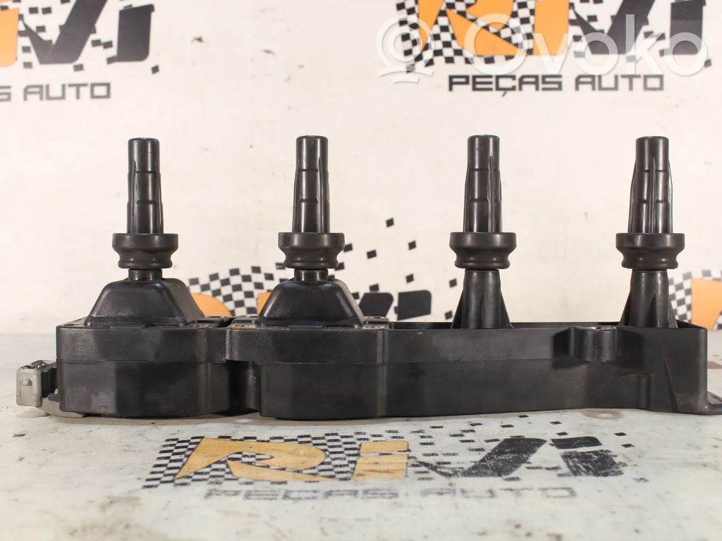 Peugeot 206 Aukštos įtampos ritė "babyna" 