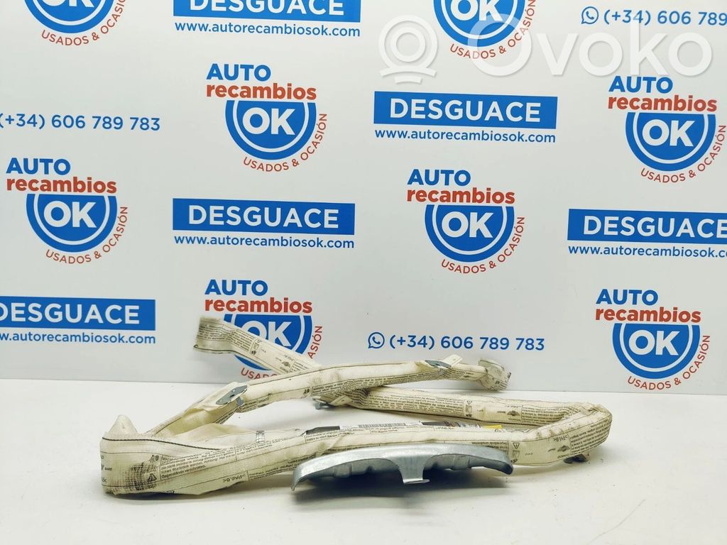 Airbag lateral   6044357,101091170340R