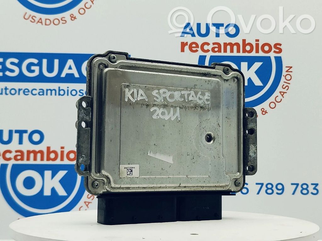 Engine control unit/module ECU   391202A051,391202A051