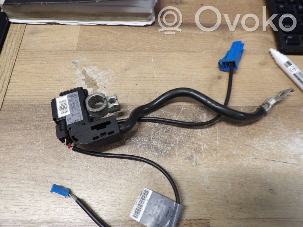 BMW 3 E92 E93 Cavo negativo messa a terra (batteria) 