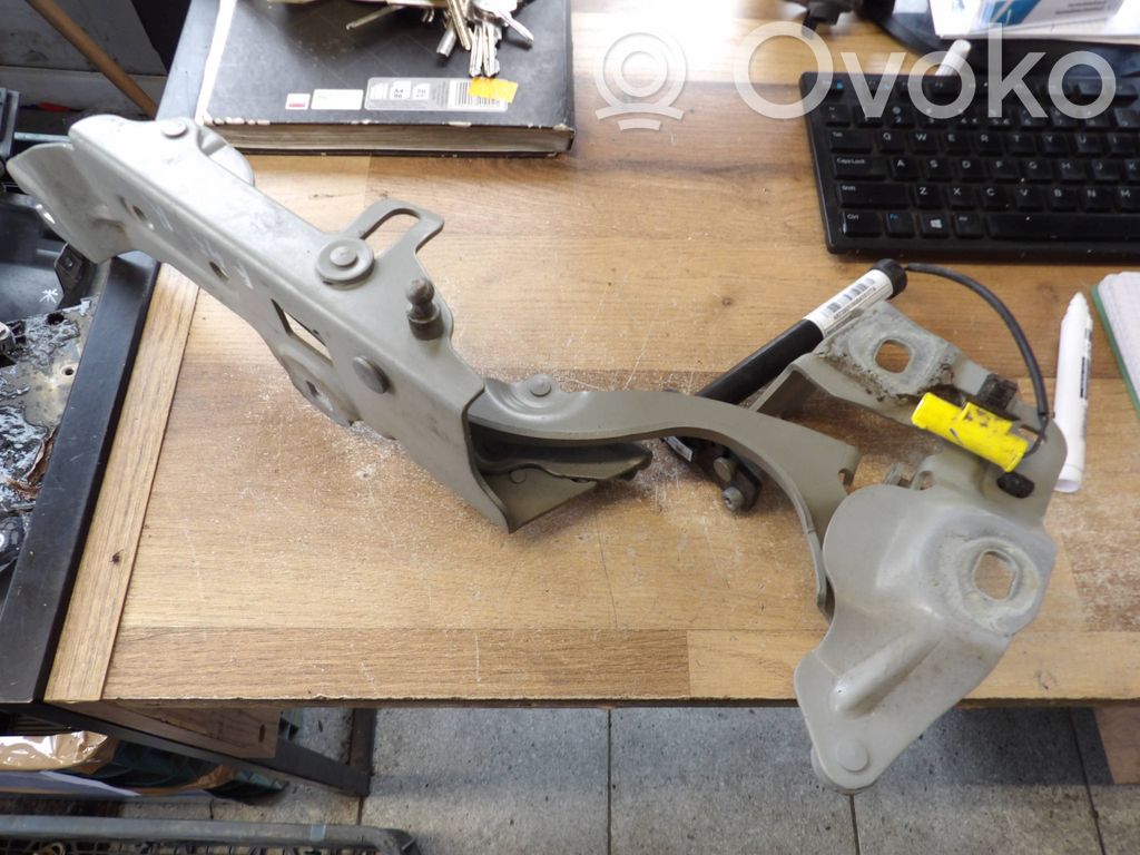 BMW 2 F45 Cerniere del vano motore/cofano 