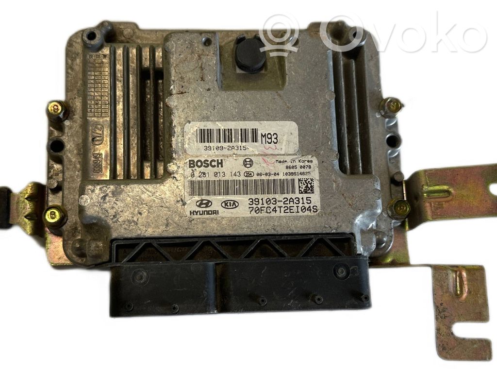 Hyundai Matrix Motorsteuergerät/-modul 