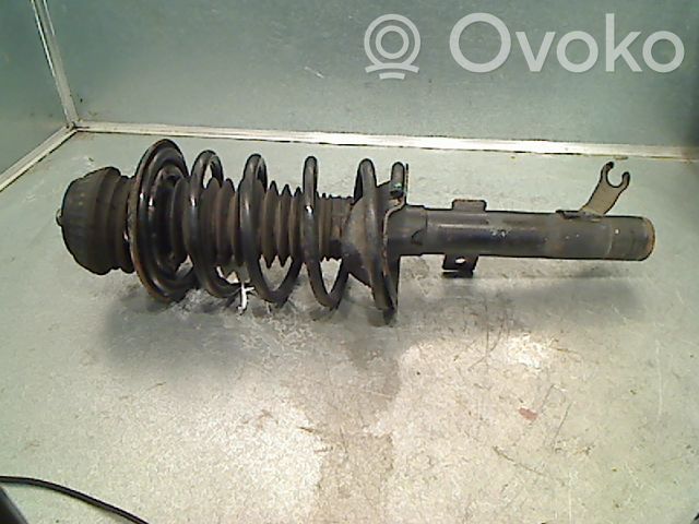 Stoßdämpfer vorne   1493887