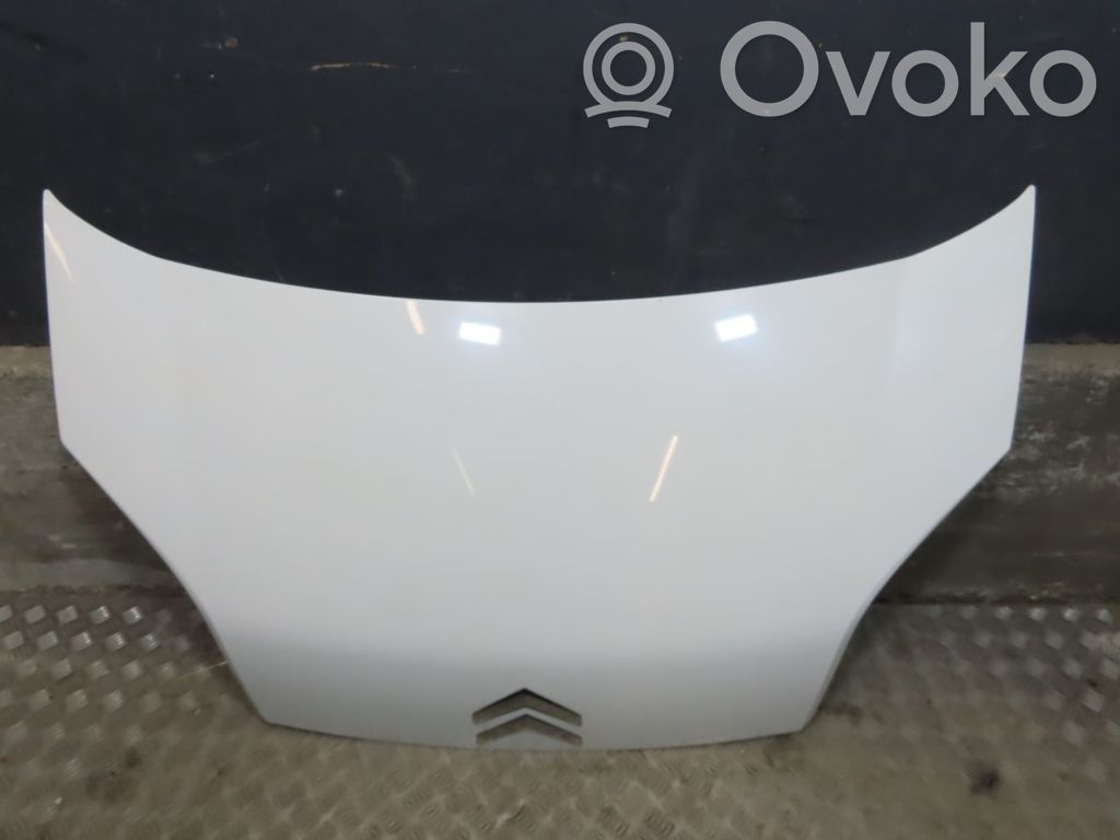 Dzinēja pārsegs (vāks)   7901Q1