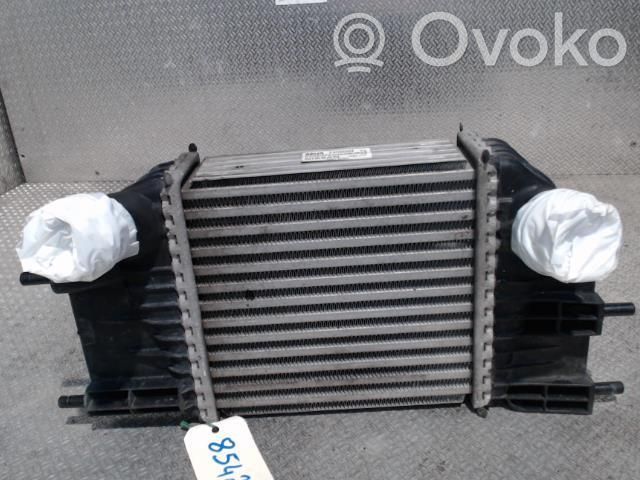 Intercooler radiator   144613VD0A
