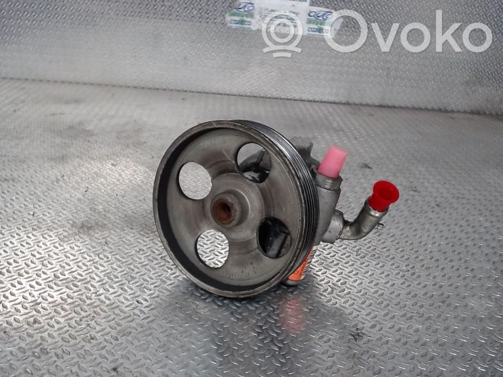 Power steering pump   1440200380