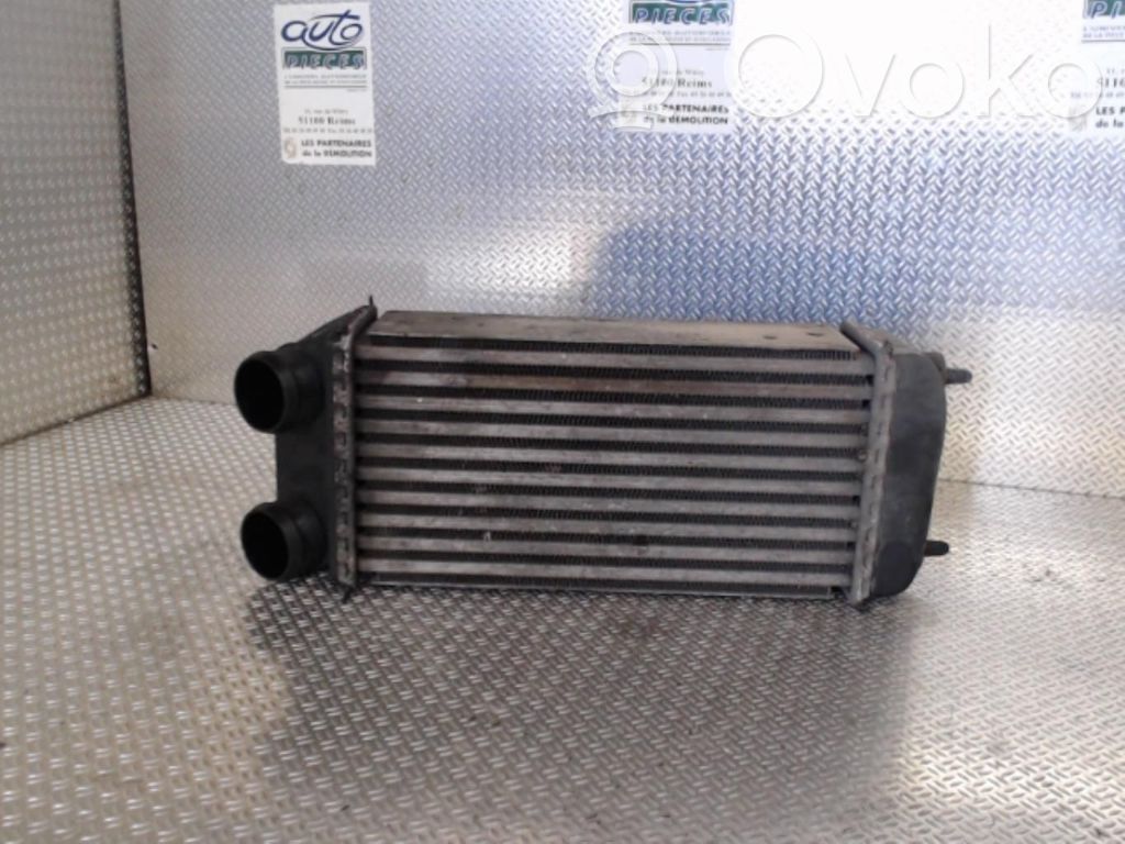 Peugeot 206 Intercooler radiator 
