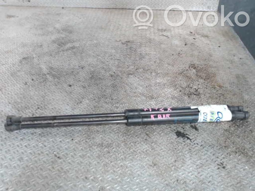 Tailgate/trunk strut/damper   1542413