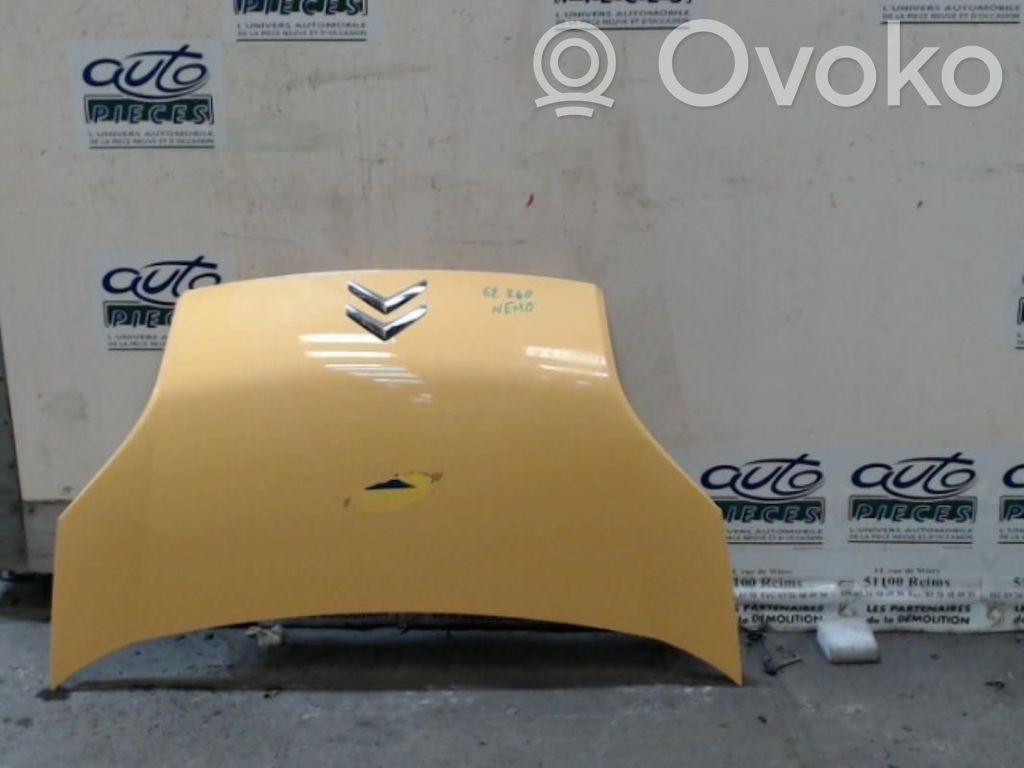Engine bonnet/hood   7901Q1