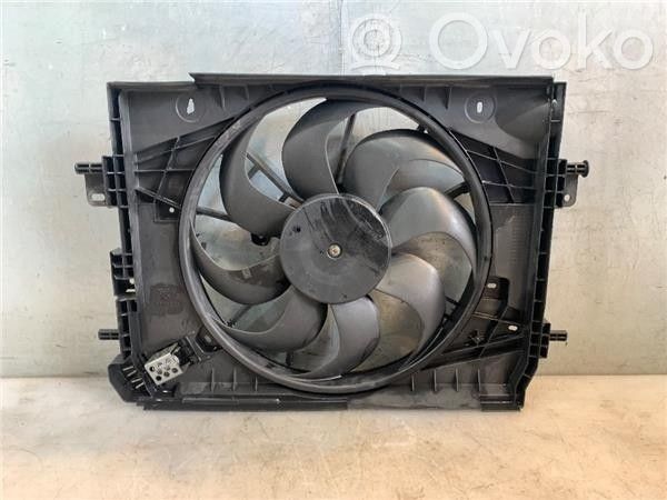 Elektrisks radiatoru ventilators   214818009R