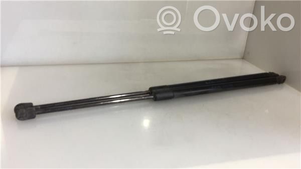 Tailgate/trunk strut/damper   3M71A406A10AD