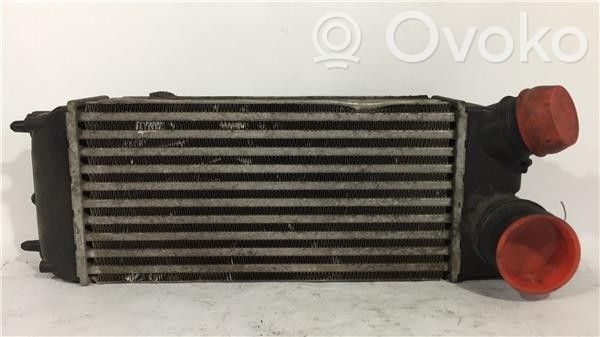 Ford Fiesta Chłodnica powietrza doładowującego / Intercooler 