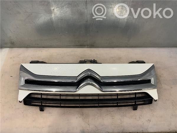 Citroen Jumpy Režģis spārnā 